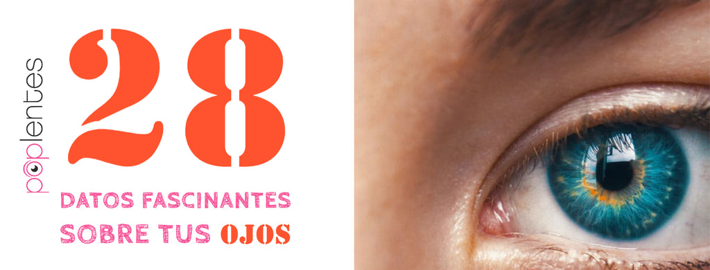 28 Datos Fascinantes sobre tus Ojos